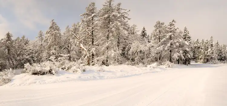 Myoko