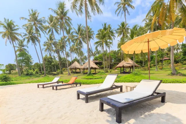Pet-friendly Hotels in Kiwengwa