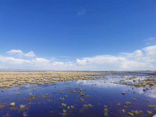 若爾蓋花湖生態旅遊區