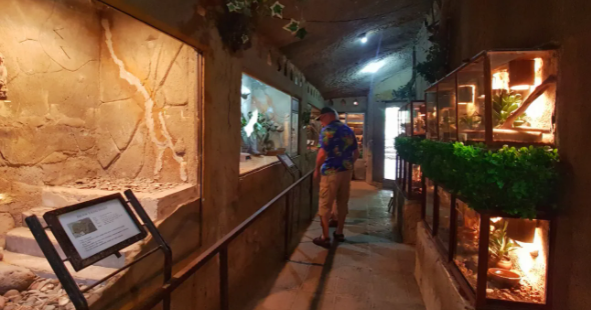 巴厘島爬行動物公園