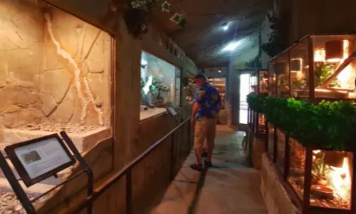 Bali Reptile Park