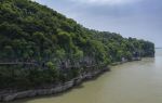 Riverside Plank Walkway