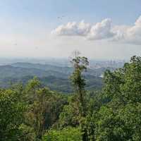 Dajian Mountain(大尖山)