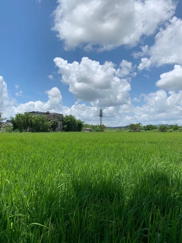 Kaiping Diaolou