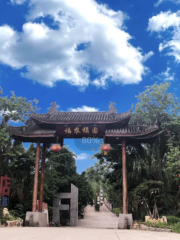 福農橘園