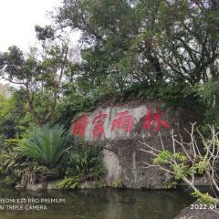 隆江猪脚饭 User Photo