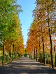 Daguan Wetland Park