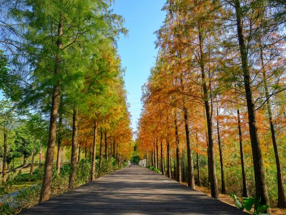 Daguan Wetland Park