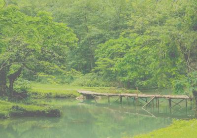 Guangxi Black Water River