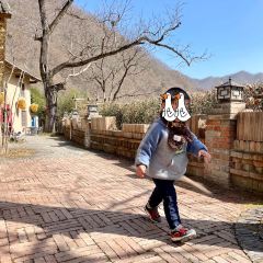 阳坡院子餐厅 User Photo