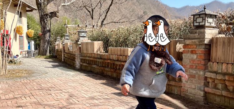 阳坡院子餐厅