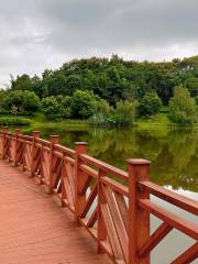 臥龍湖濕地公園