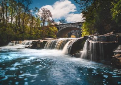 Rocky River Reservation