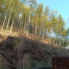 安吉涵田度假村·餐厅 User Photo
