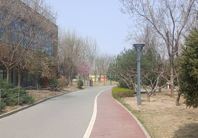 固安孩童公園