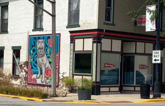 J. Ford's Black Angus