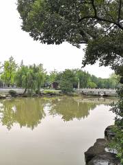 Jingjiang Binjiang Park