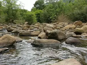 Puliyancholai Park