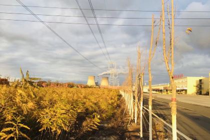 黄房子家宴新疆菜