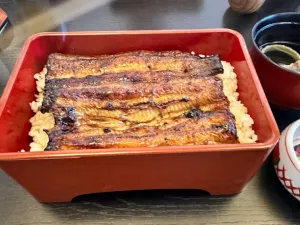 Unagidokoro Sakata