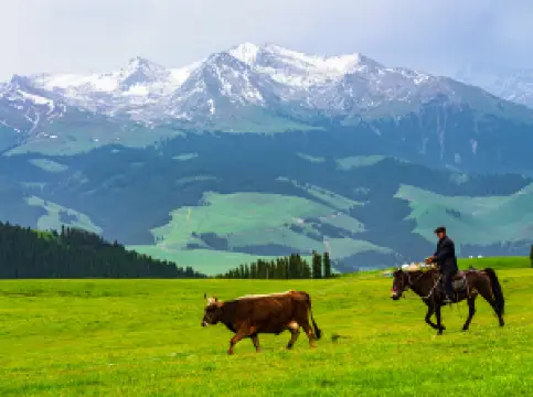 ทุ่งหญ้าคาลาจุ้น