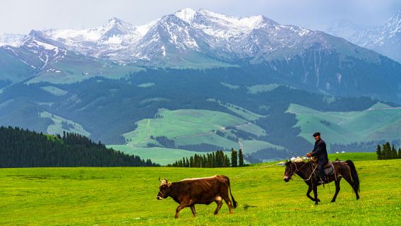 Kalajun Grassland