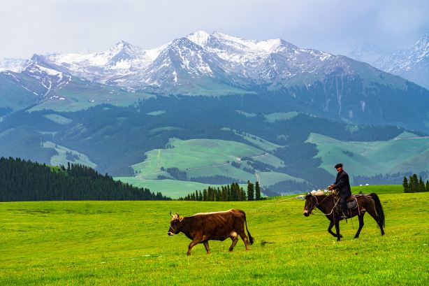 Kalajun Grassland