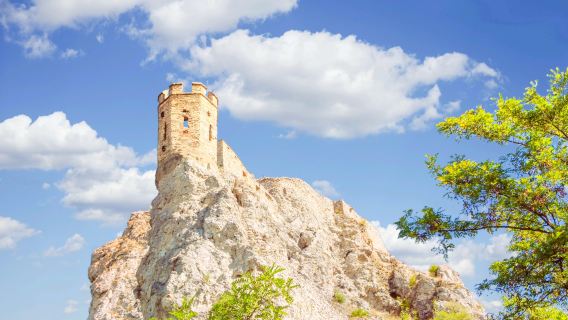 Devin Castle