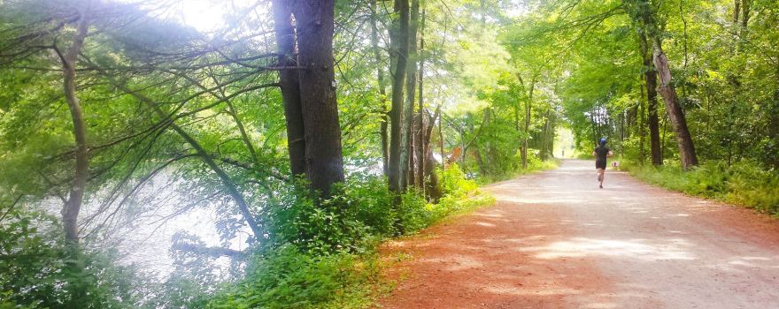 Mine Falls Park