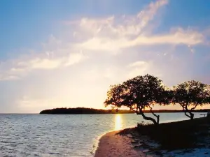Curry Hammock State Park
