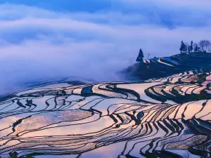 Laohuzui Terraced Field Scenic Area