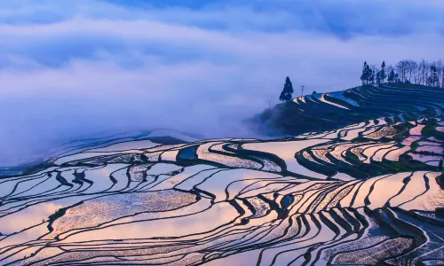 Sunsets in Yuanyang