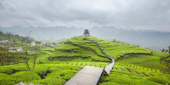 伍家台貢茶文化旅遊區