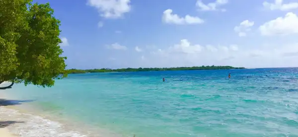 ムンシピオ・アウトノモ・シルバのホテル