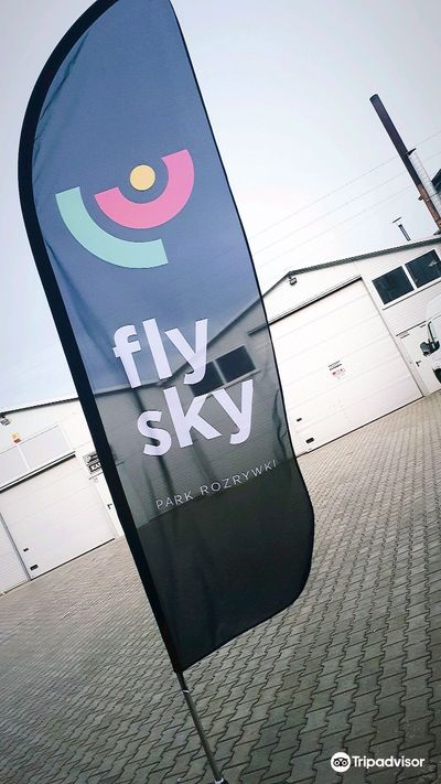 FlySky