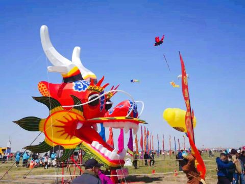 凧の壮観： “世界凧の都”の空で夢を叶える | Trip.com 濰坊