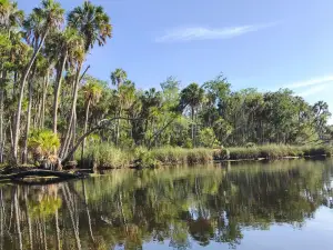 Crystal River National Wildlife Refuge