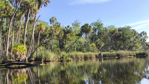 Crystal River National Wildlife Refuge