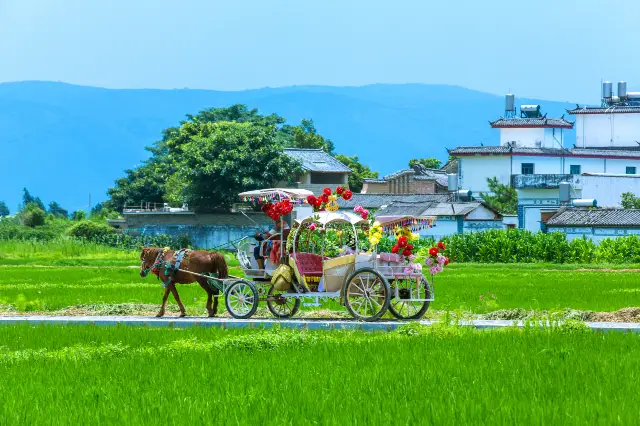 Horse Carriage Experiences in Dali