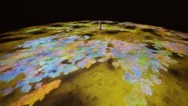 Best Time to Visit teamLab Phenomena