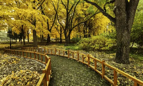 Taoranting Park