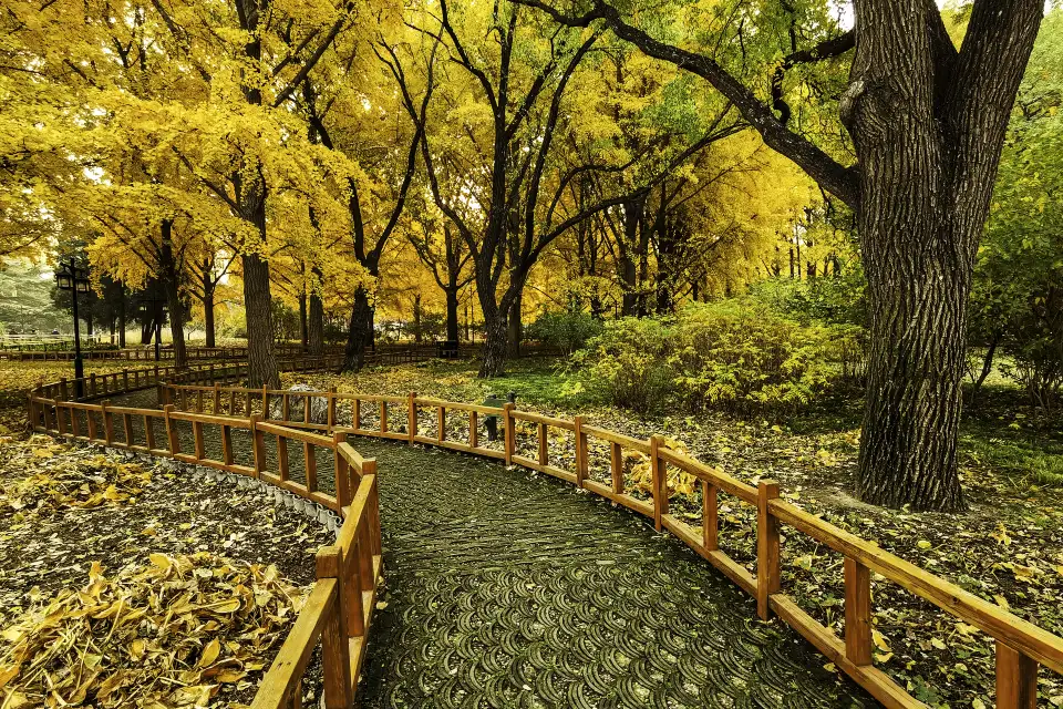 2_Taoranting Park