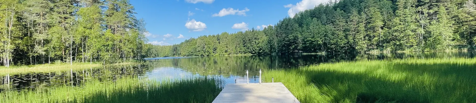 Best Things to Do