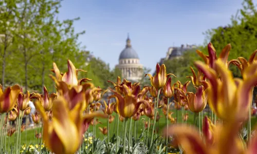 Luxembourg Gardens