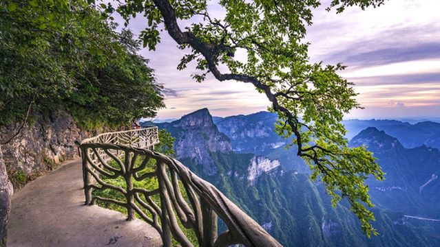 Ghost Valley Plank Road