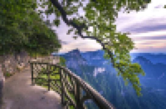 Ghost Valley Plank Road Tickets [2025] Promos, Prices, Reviews