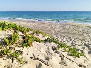 Praia de Faro