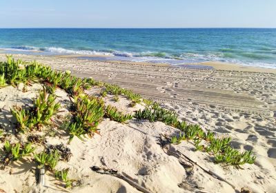 Praia de Faro
