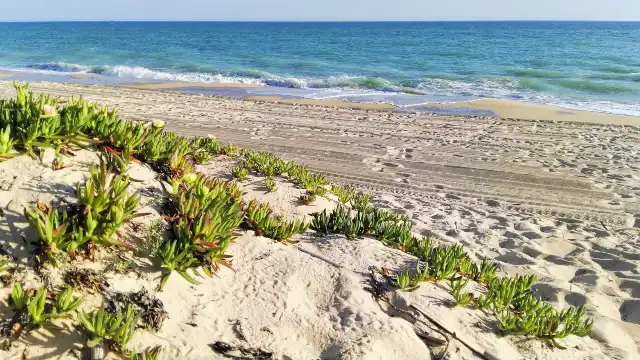 Praia de Faro