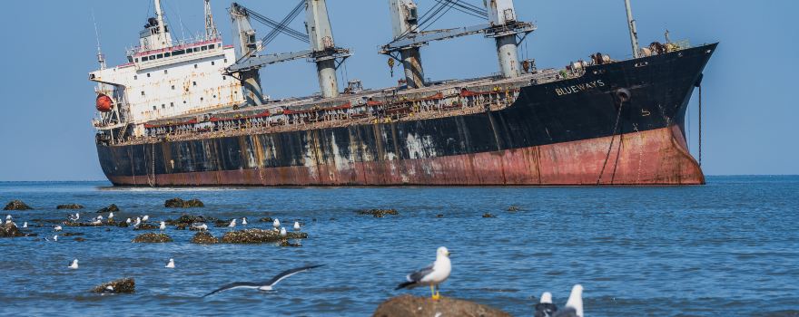 擱淺貨輪布魯維斯號